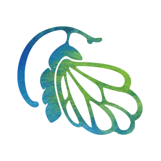 Psychotherapy for Children, Adolescents & Families